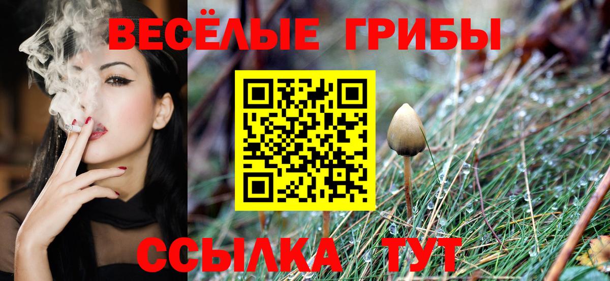 Псилоцибиновые грибы Magic Shrooms  Вход с VPN  Сосновоборск 