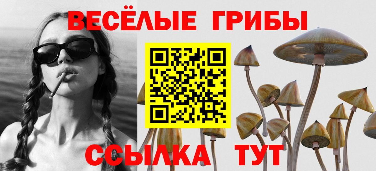 Псилоцибиновые грибы Magic Shrooms Сосновоборск